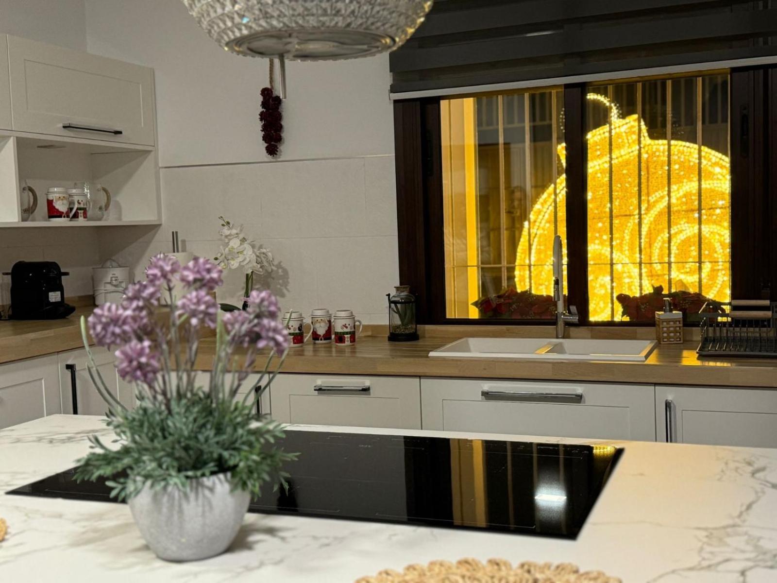 La Ibicenca Cordoba Apartment Екстериор снимка